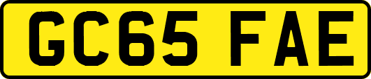 GC65FAE