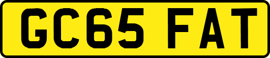 GC65FAT