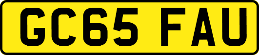 GC65FAU