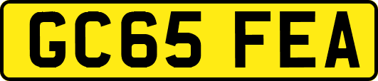 GC65FEA