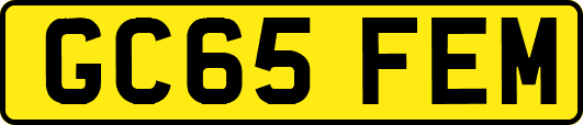 GC65FEM