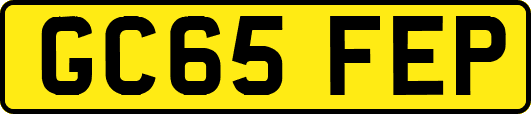 GC65FEP