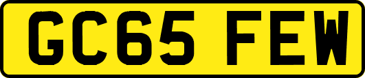 GC65FEW