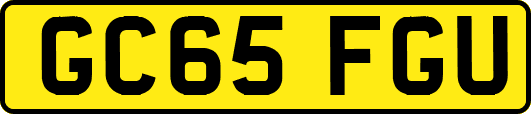 GC65FGU