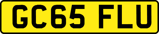 GC65FLU