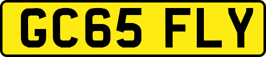 GC65FLY