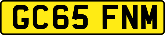 GC65FNM