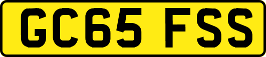 GC65FSS
