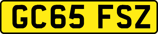 GC65FSZ