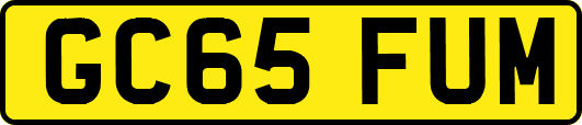 GC65FUM