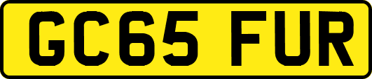 GC65FUR