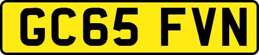 GC65FVN