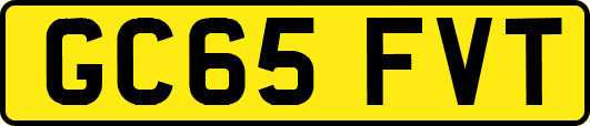GC65FVT