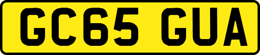 GC65GUA
