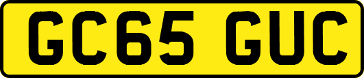 GC65GUC