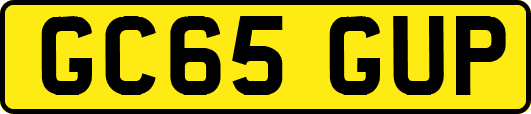 GC65GUP