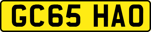 GC65HAO