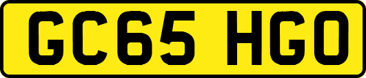 GC65HGO