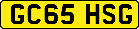 GC65HSG