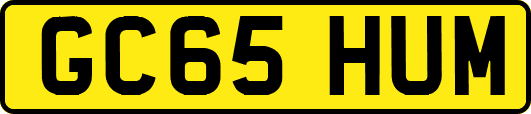 GC65HUM