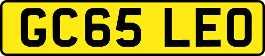 GC65LEO