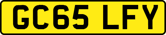 GC65LFY