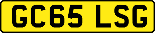 GC65LSG