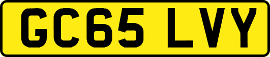 GC65LVY