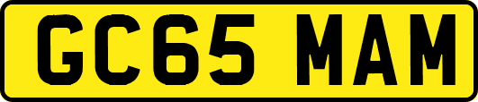 GC65MAM