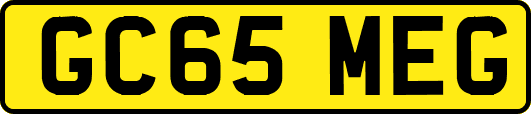 GC65MEG