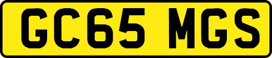 GC65MGS