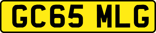 GC65MLG