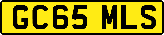 GC65MLS