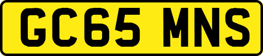 GC65MNS