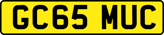 GC65MUC