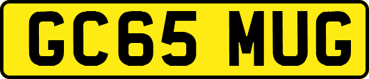 GC65MUG