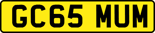 GC65MUM