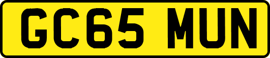 GC65MUN