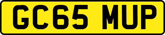 GC65MUP