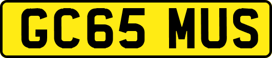 GC65MUS