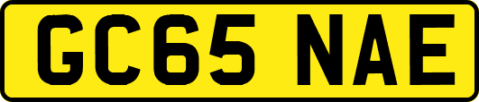GC65NAE