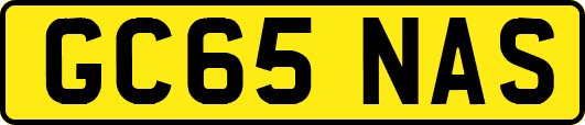 GC65NAS