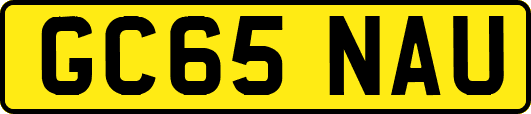 GC65NAU