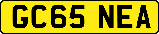 GC65NEA