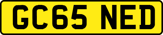 GC65NED