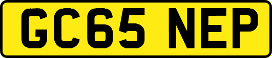 GC65NEP