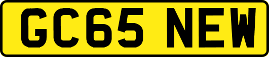 GC65NEW