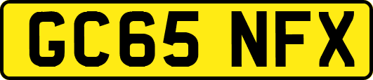 GC65NFX