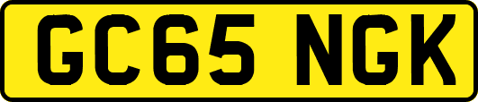 GC65NGK