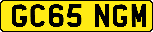 GC65NGM